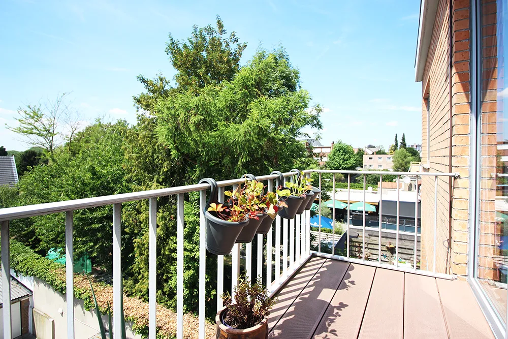 Renovated apartment with terrace