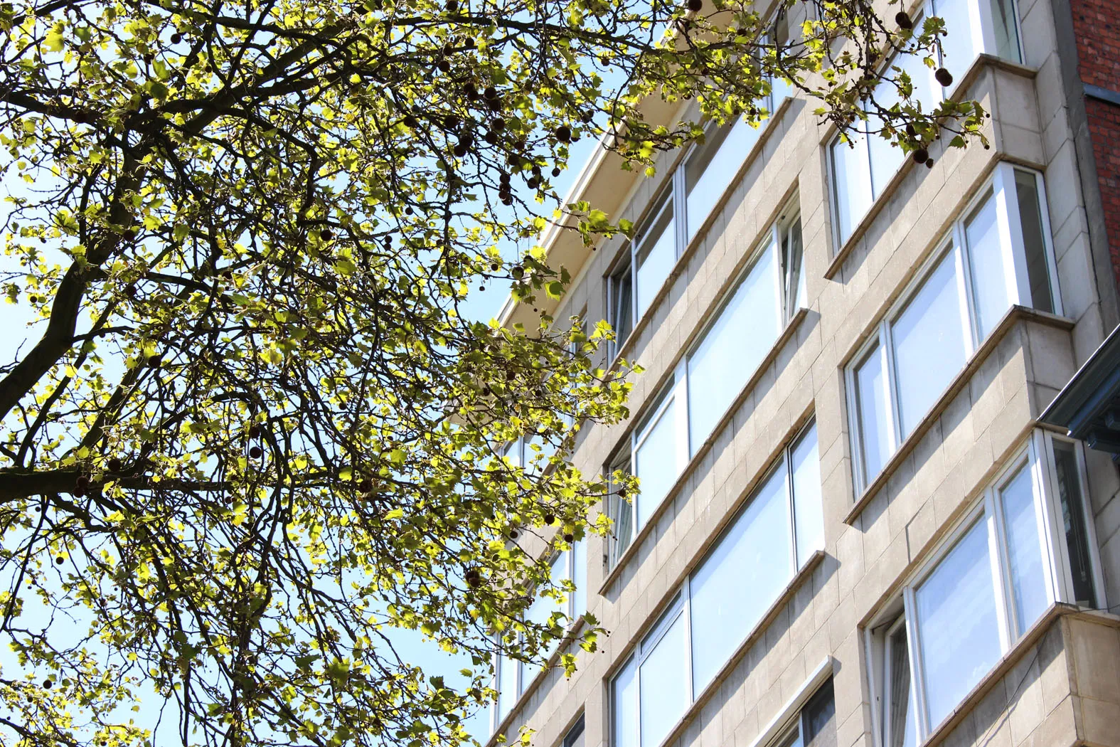 Apartment on "het zuid" with two terraces 0