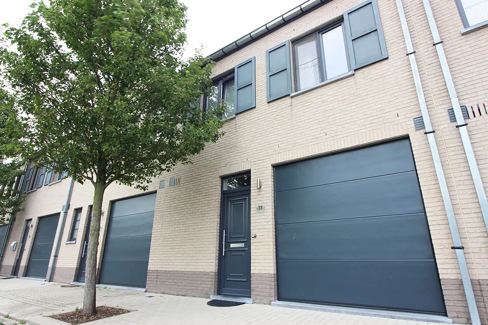 Family house with garage and garden1