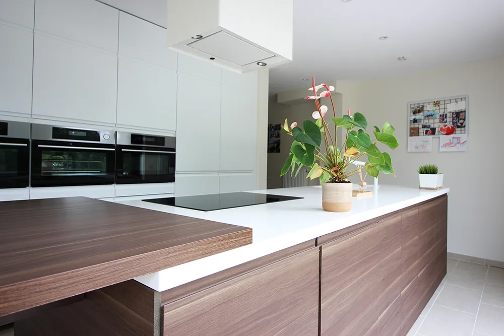 Gerenoveerde woning met moderne uitbouw1