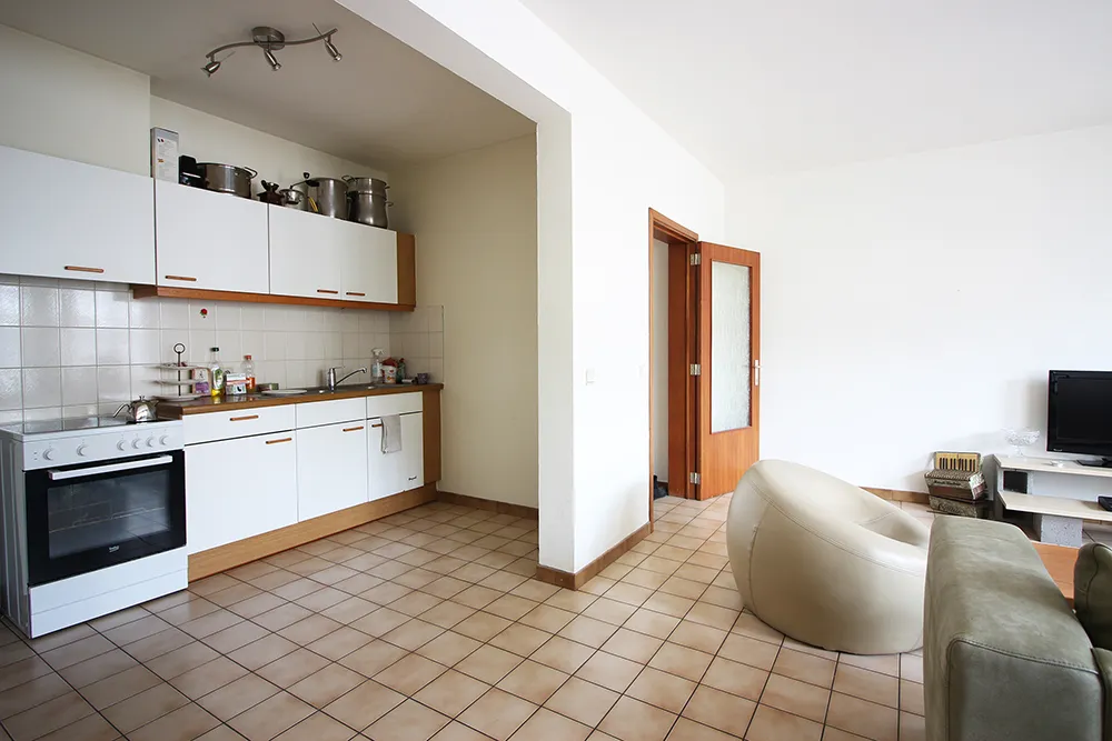 Spacieux appartement d'une chambre avec terrasse 1