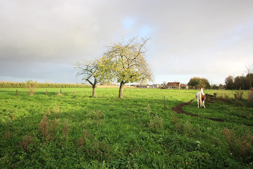 Ferme carrée à rénover