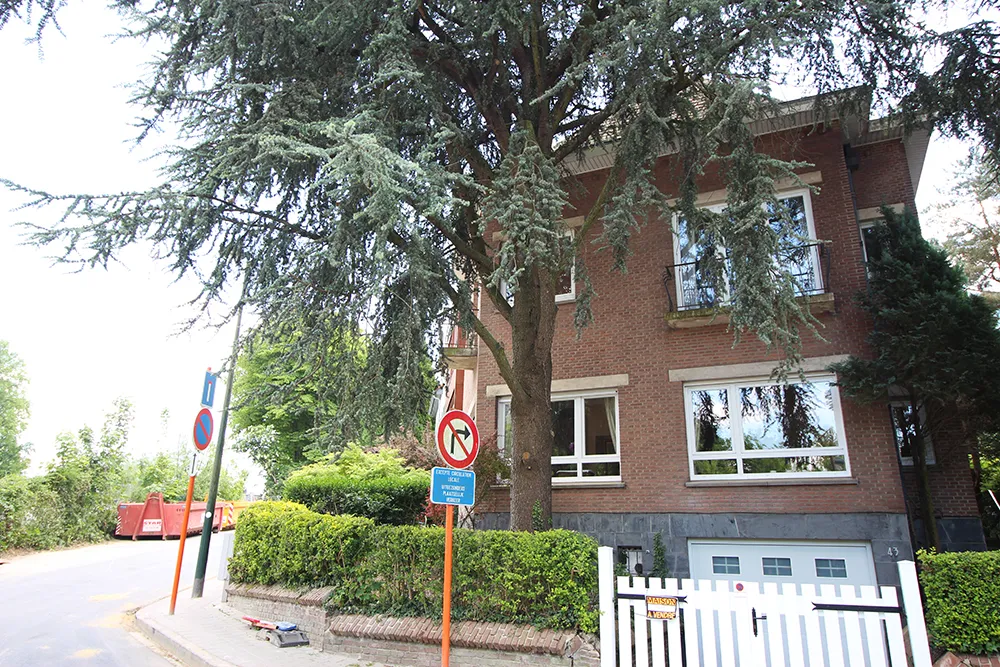 Propriété authentique à rafraîchir avec potentiel 0