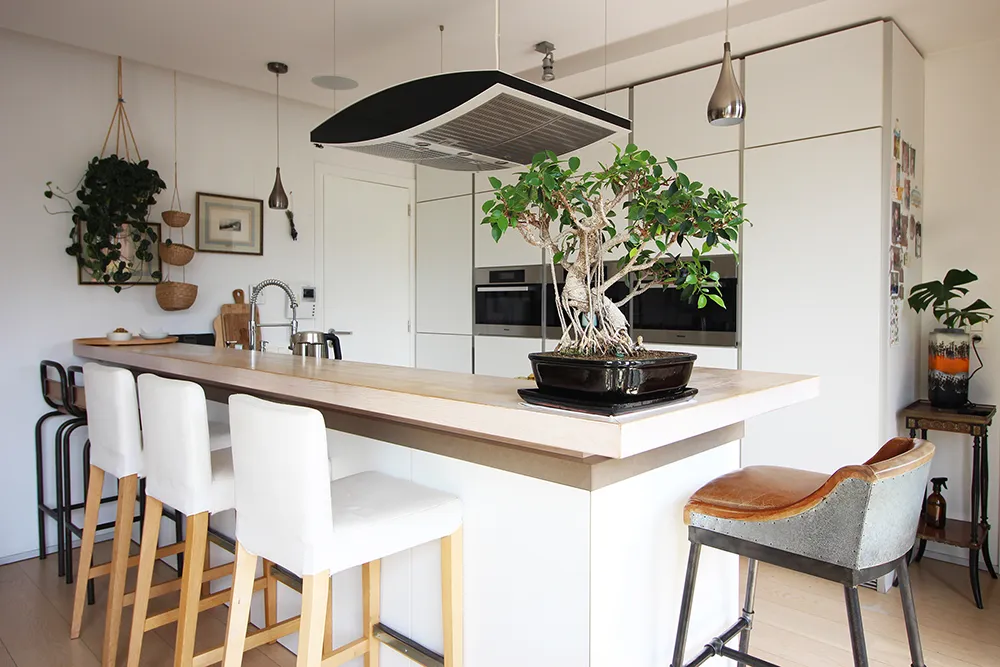 Unieke loft met 4 slaapkamers, 2 terrassen en duurzame technologie