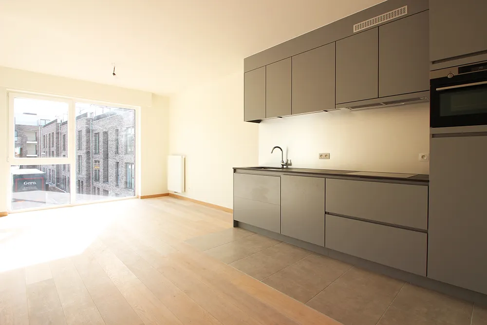 Recent apartment with pleasant terrace0