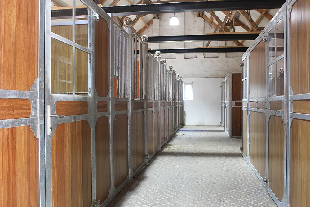 Premium Stabling for Dressage Horses – Durondeau Dressage
