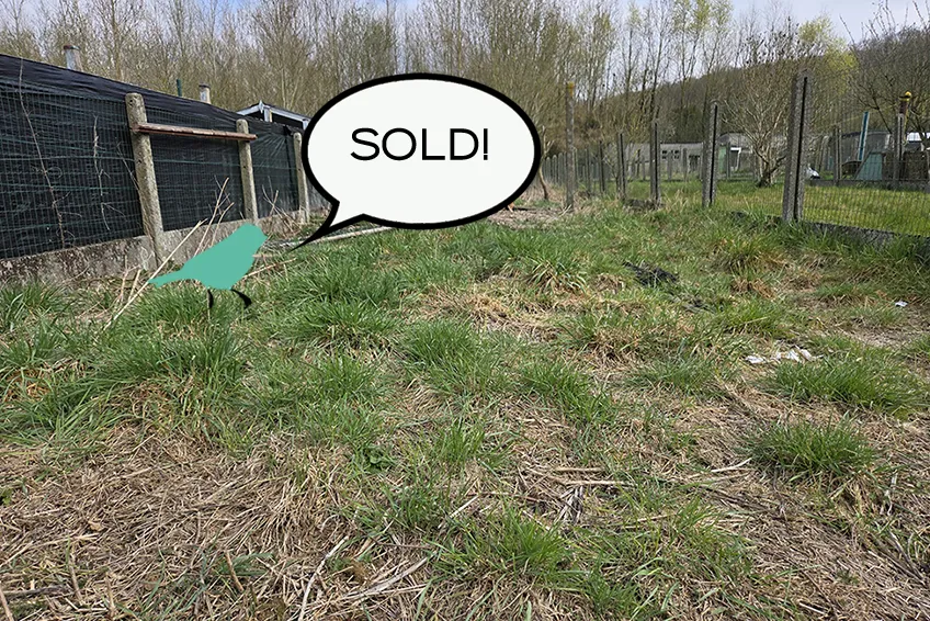 Renovated property with rural views0