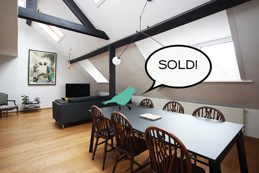 Penthouse with large roof terrace0