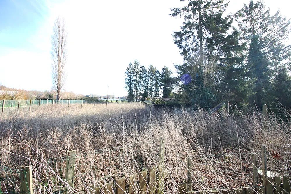 Projectgrond te koop in het hart van Munkzwalm