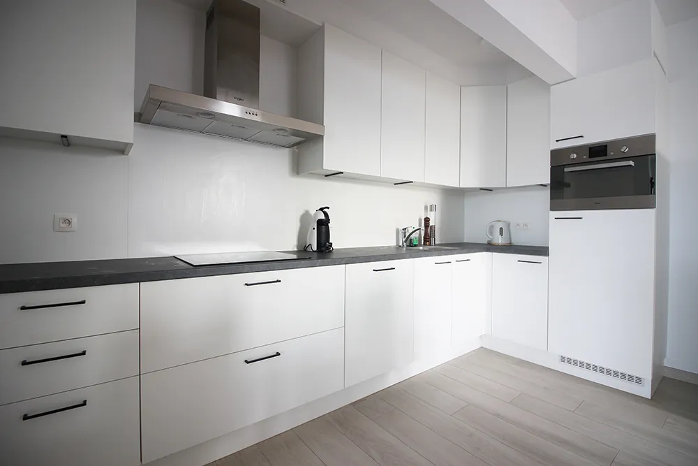 Spacious apartment with terrace0