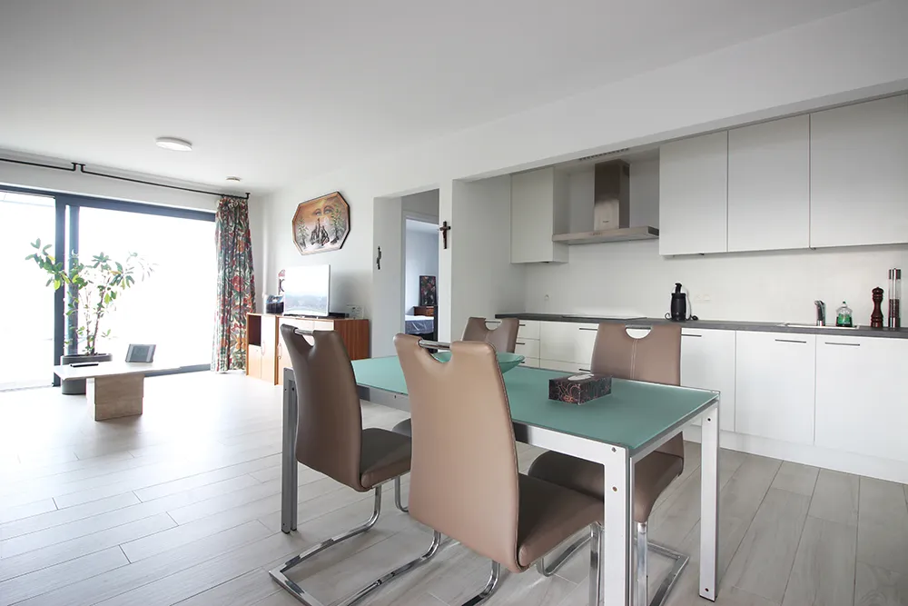 Spacious apartment with terrace