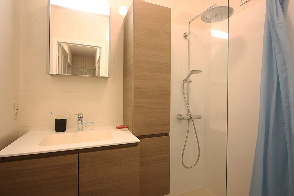 Appartement 1 chambre prêt à emménager avec séjour lumineux et vue verdoyante