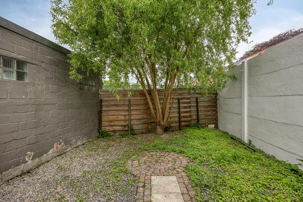 Bright and high-quality renovated home
