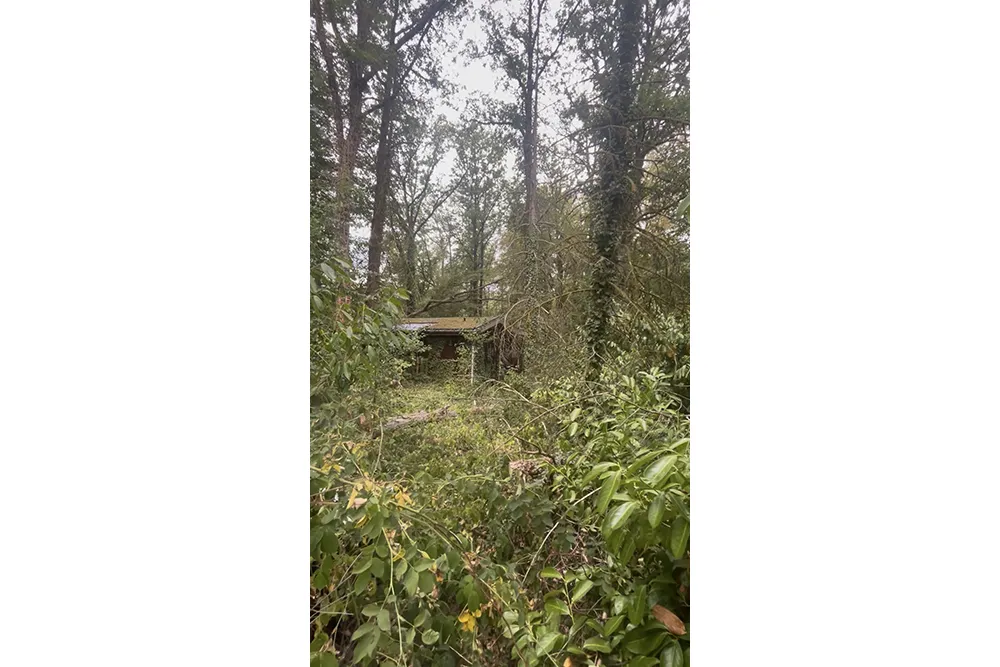 Stukje paradijs op het Domaine La Forêt0