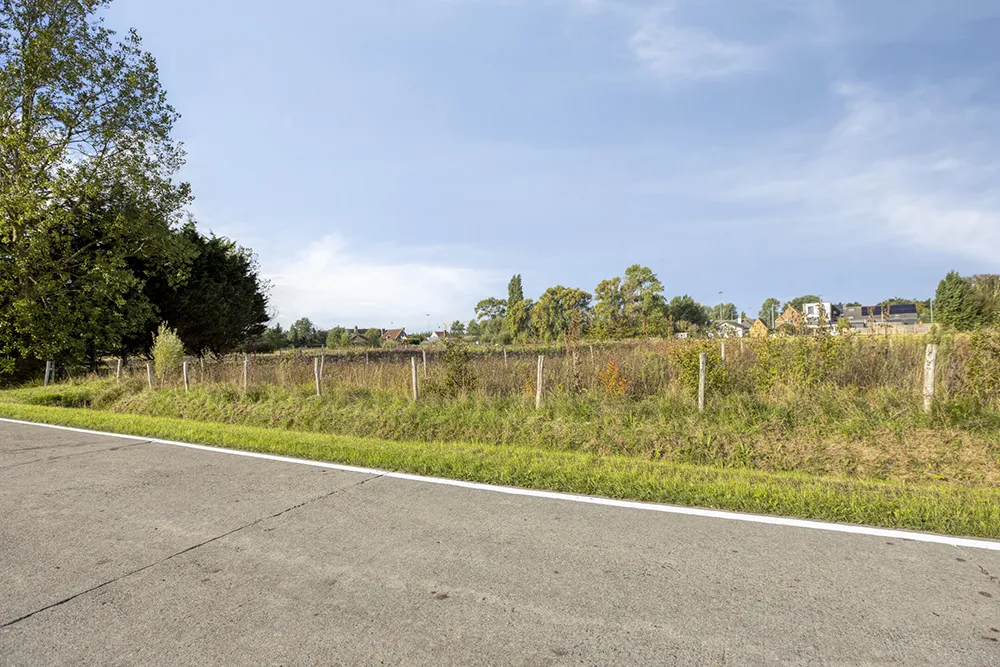 Vergunde nieuwbouwwoning met 7.373 m2 weide