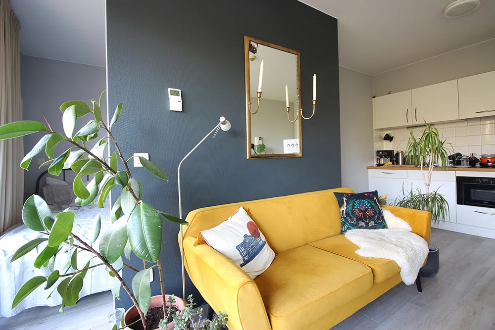 Furnished studio flat0
