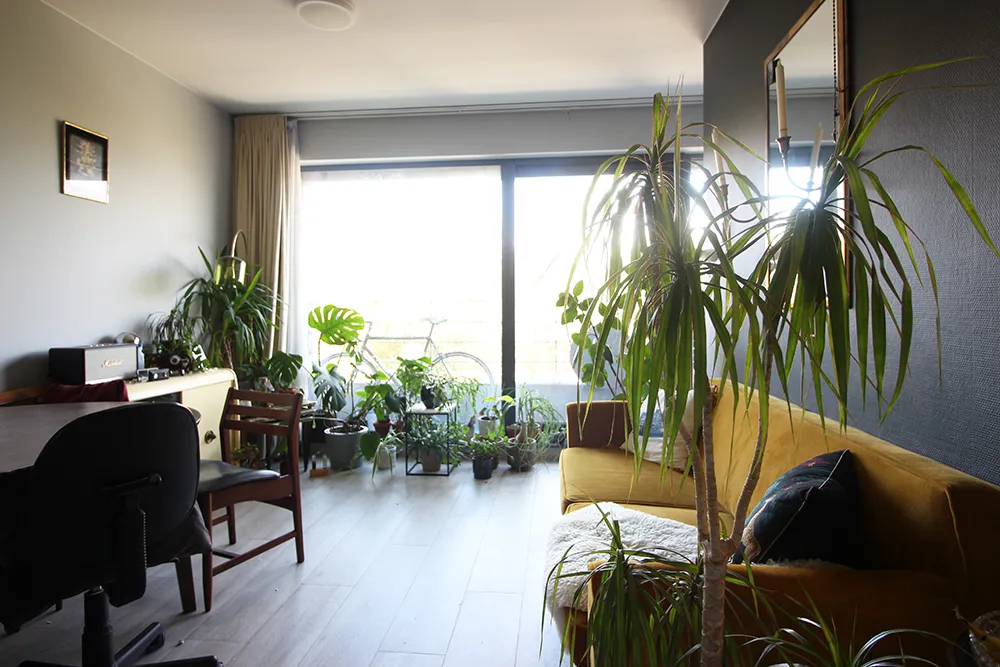 Furnished studio flat
