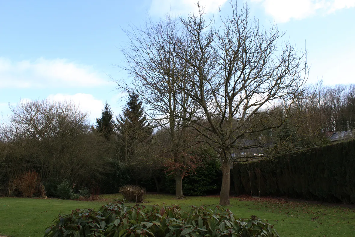 Ruime villa aan het Zoniënwoud