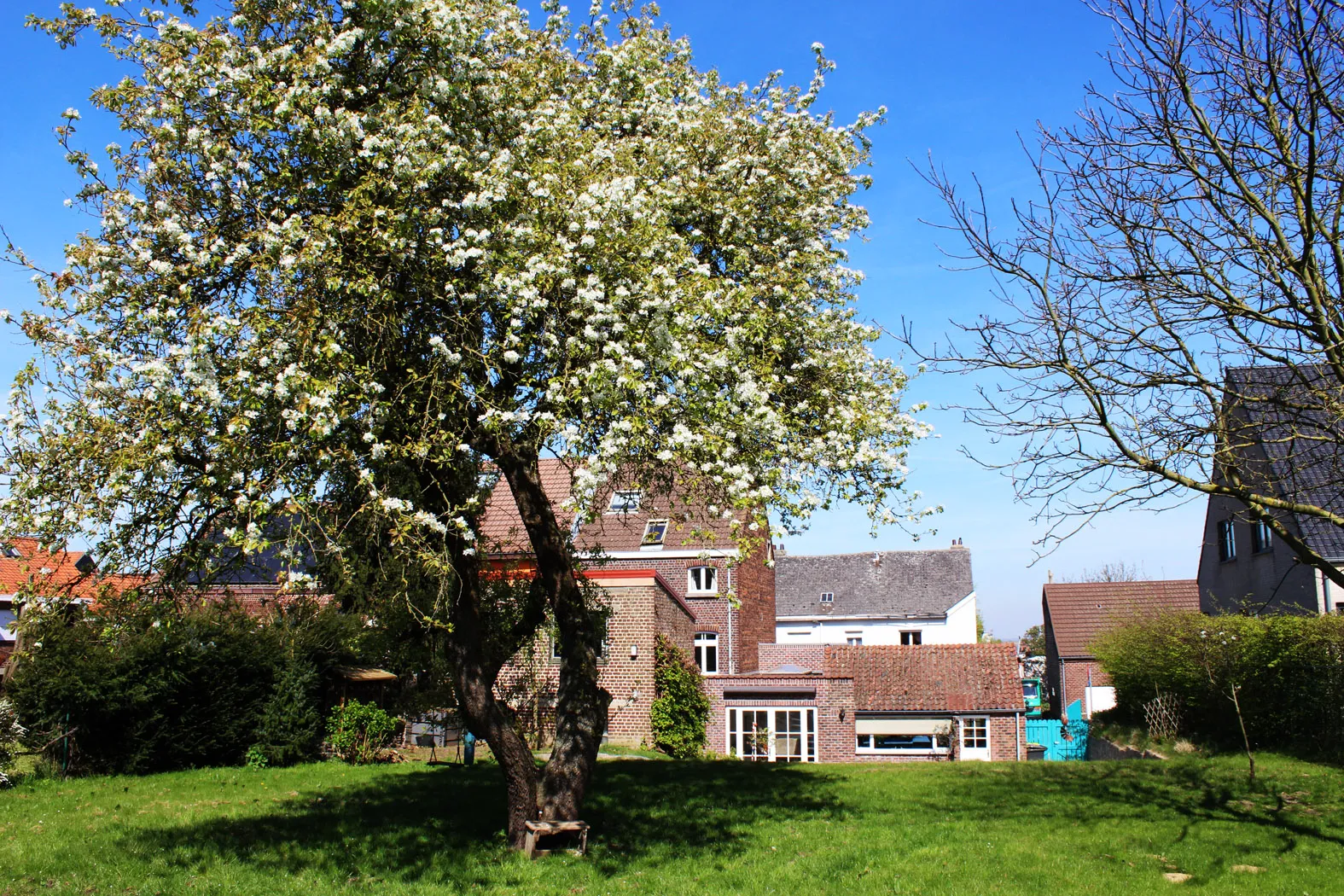 Unieke woning met tuin en bijgebouw (atelier)2