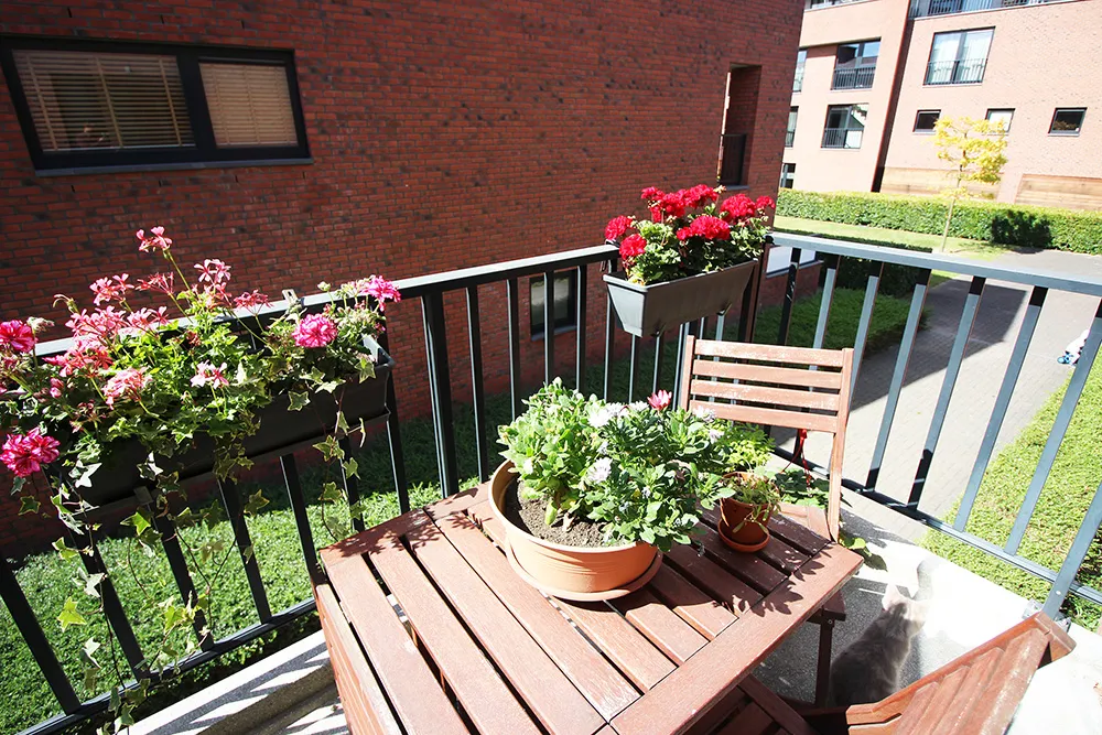 Spacious apartment with three terraces1