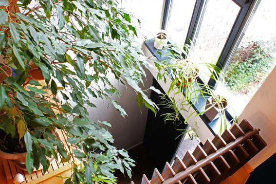 Prachtige jaren ’70 woning in tijdloze architectuur2