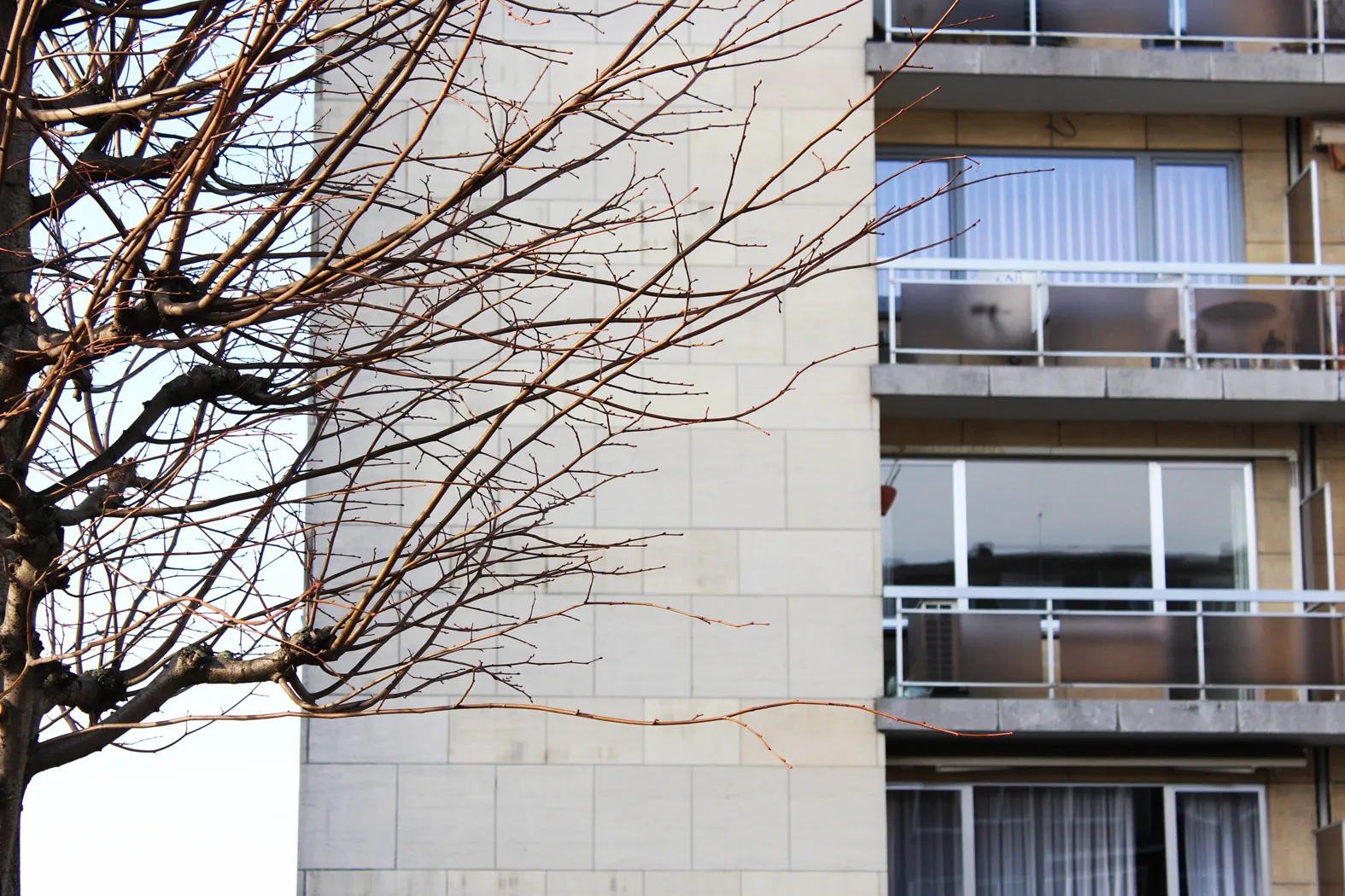 Lumineus en groot appartement met twee terrassen 0