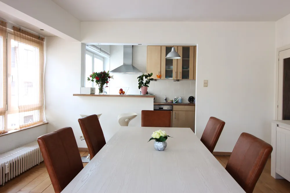 Bright apartment near Place du Miroir1