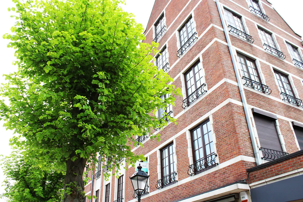 Ruim en zeer zonnig hoekappartement 0